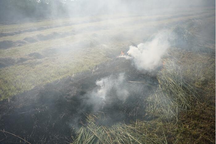 Brand in gemaaid gras