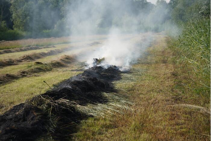 Brand in gemaaid gras
