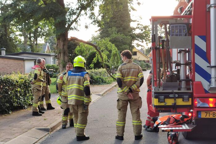Brandweer verwijdert twee gevaarlijk hangende takken