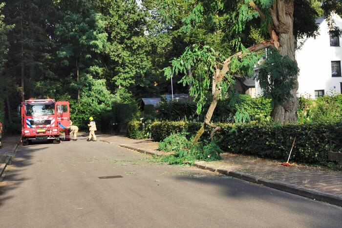 Brandweer verwijdert twee gevaarlijk hangende takken