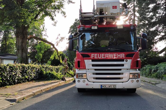 Brandweer verwijdert twee gevaarlijk hangende takken