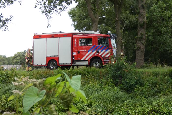 Brandweer redt hert uit water