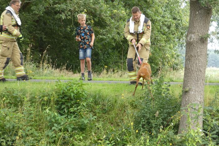 Brandweer redt hert uit water