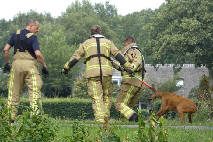 Brandweer redt hert uit water