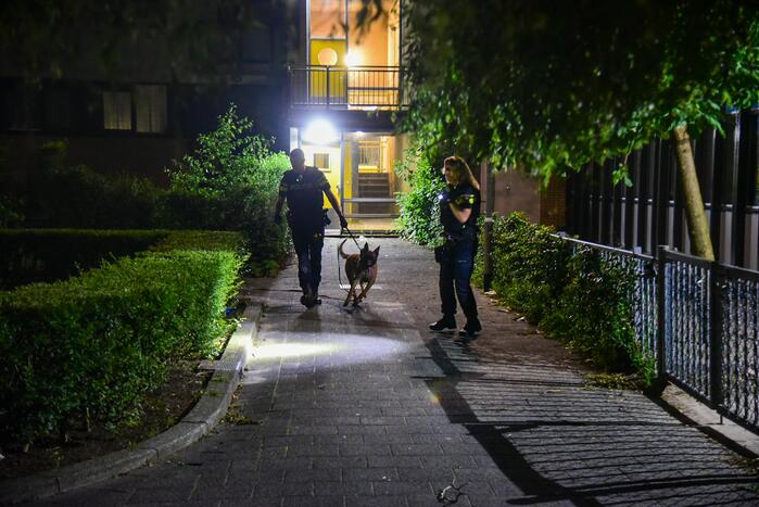 Schoten gelost op woning en winkelpand