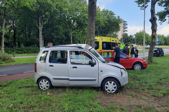 Automobilist rijdt tegen boom