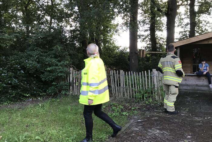 Kitten vast in de boom