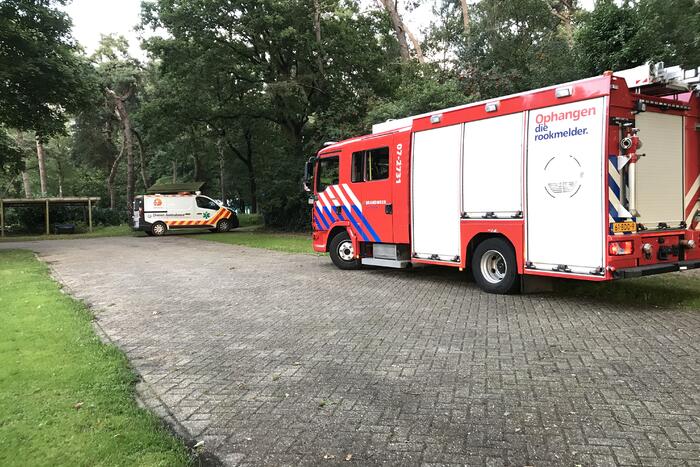 Kitten vast in de boom