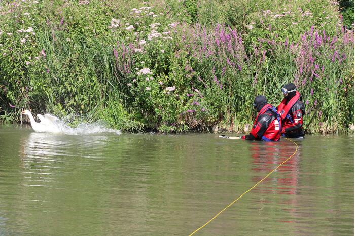 Gans slaat op de vlucht bij reddingspoging