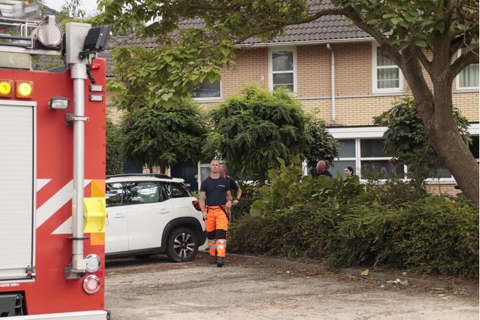 Brandweer verwijdert loshangende tak