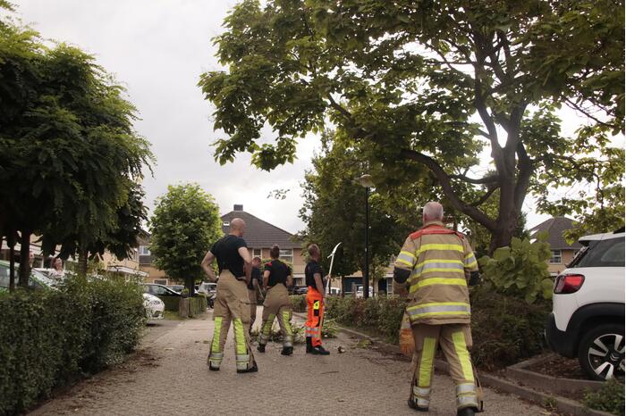 Brandweer verwijdert loshangende tak