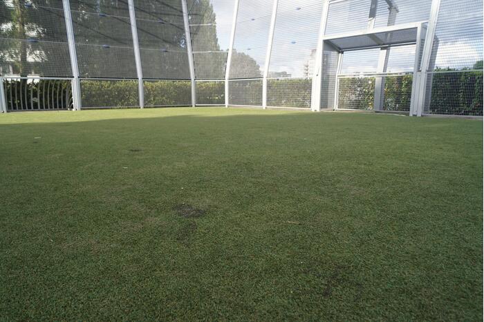 Hakenkruis in kunstgras gebrand van voetbalkooi