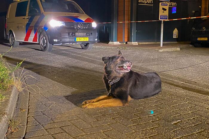 Politie lost meerdere schoten tijdens zoektocht naar man met vuurwapen