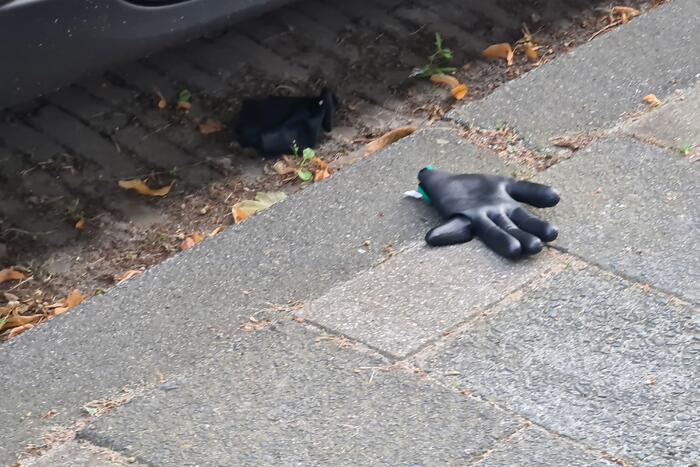 Diverse aanhoudingen bij politie-inzet in wijk Kromme Gouwe