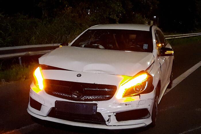 Paard ontsnapt op snelweg na ongeval