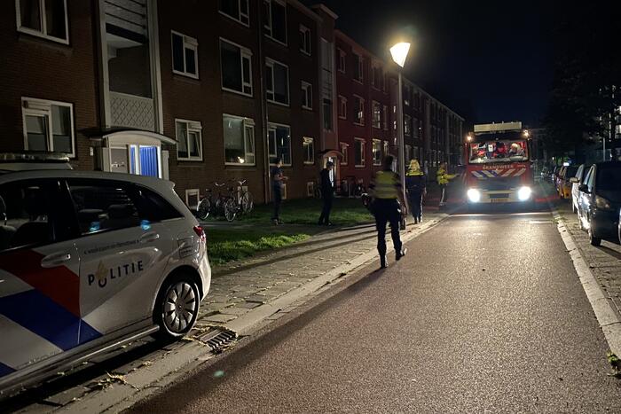 Kat vast tussen raam