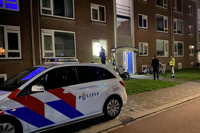 Kat vast tussen raam