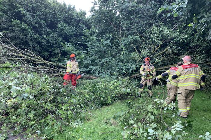 Brandweer zaagt omgevallen boom in stukken