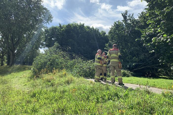 Brandweer zaagt omgevallen boom in stukken