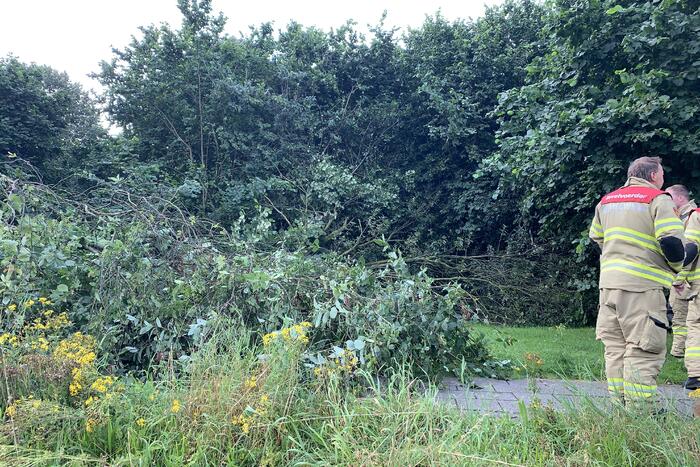 Brandweer zaagt omgevallen boom in stukken