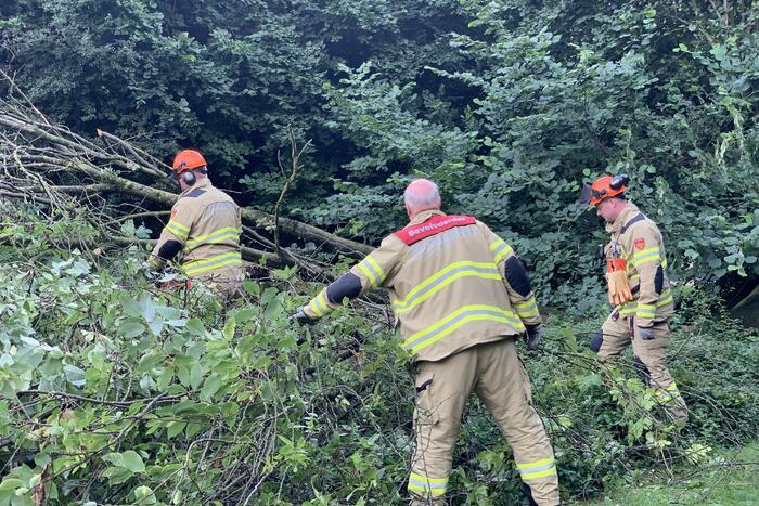 Brandweer zaagt omgevallen boom in stukken