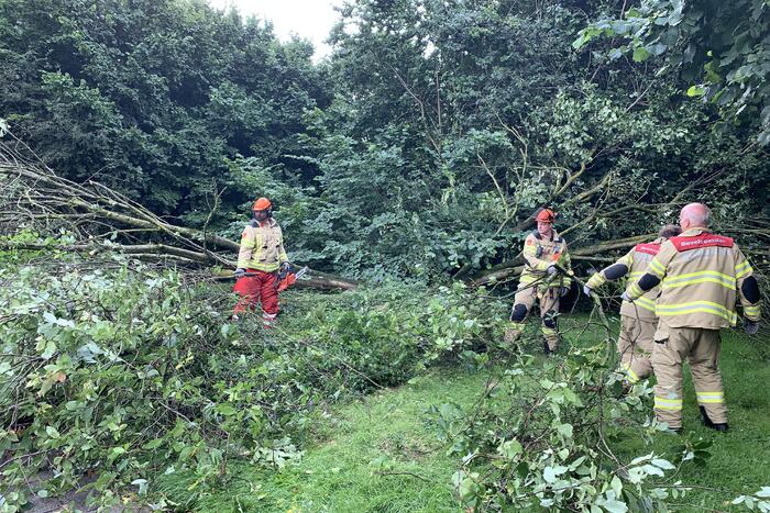 Brandweer zaagt omgevallen boom in stukken