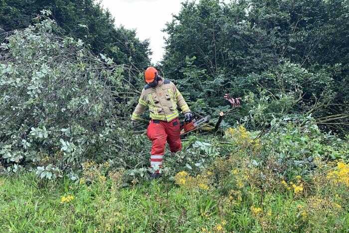 Brandweer zaagt omgevallen boom in stukken