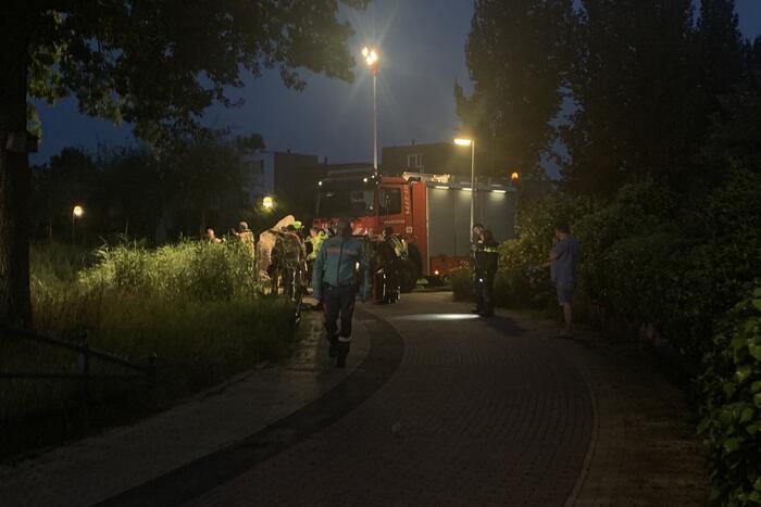 Zoektocht naar bestuurder motorscooter