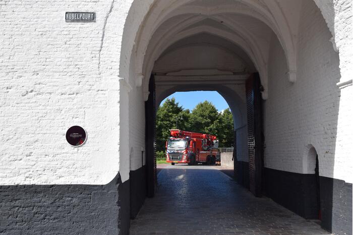 Duif vast achter net in Nobelpoort