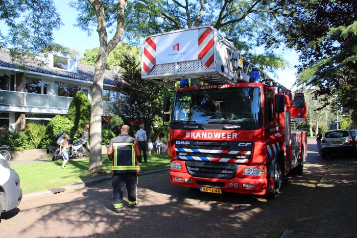 Siamese kat zit vast op schoorsteen van woning