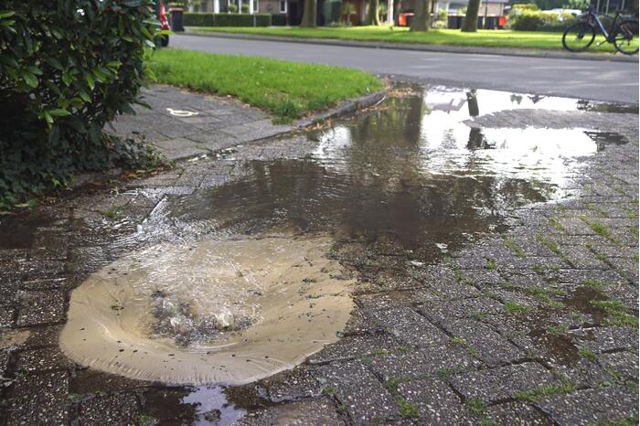 Beethovenlaan Bunschoten-Spakenburg 112 