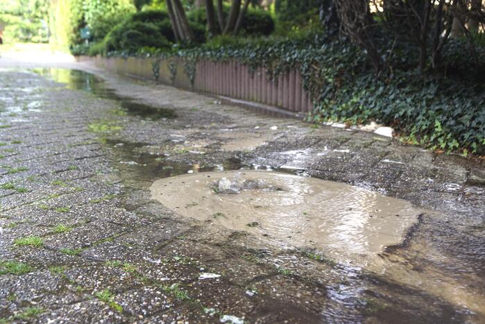 Afzetting wegens verzakkingsgevaar wordt genegeerd