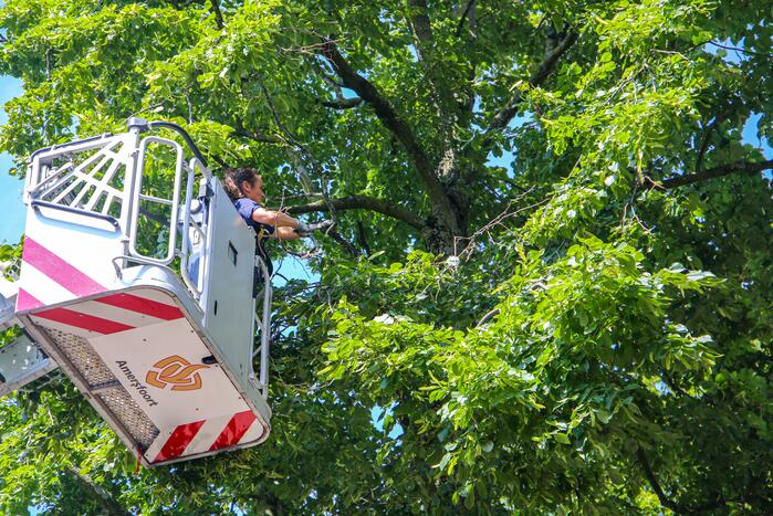 Brandweer verwijdert gevaarlijk hangende takken