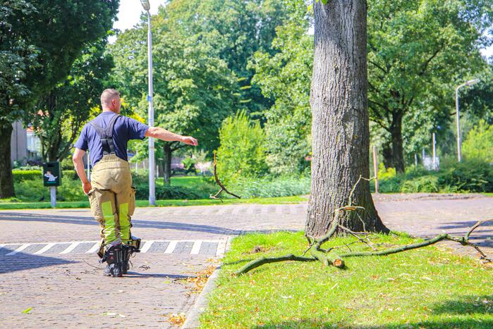 Brandweer verwijdert gevaarlijk hangende takken