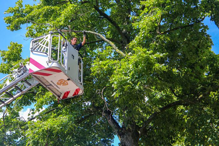 Brandweer verwijdert gevaarlijk hangende takken