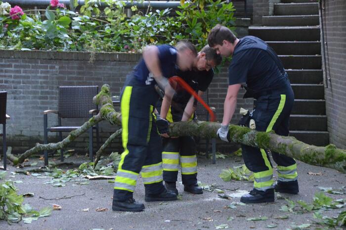 Grote tak breekt af en valt op terras