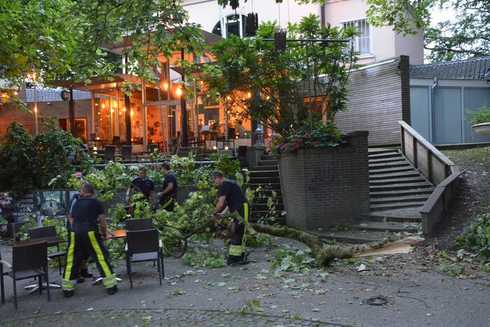 Grote tak breekt af en valt op terras