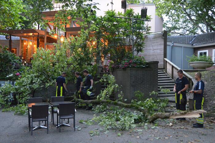 Grote tak breekt af en valt op terras