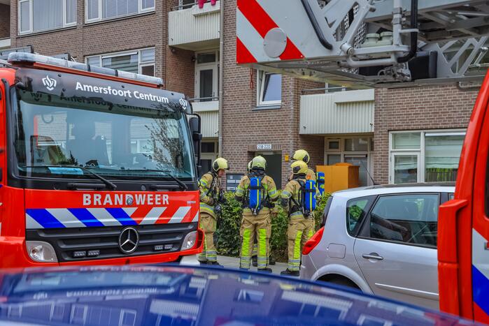 Huisdieren gered bij flinke brand in flatgebouw