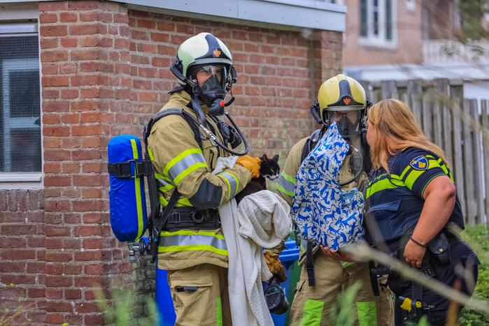 Huisdieren gered bij flinke brand in flatgebouw