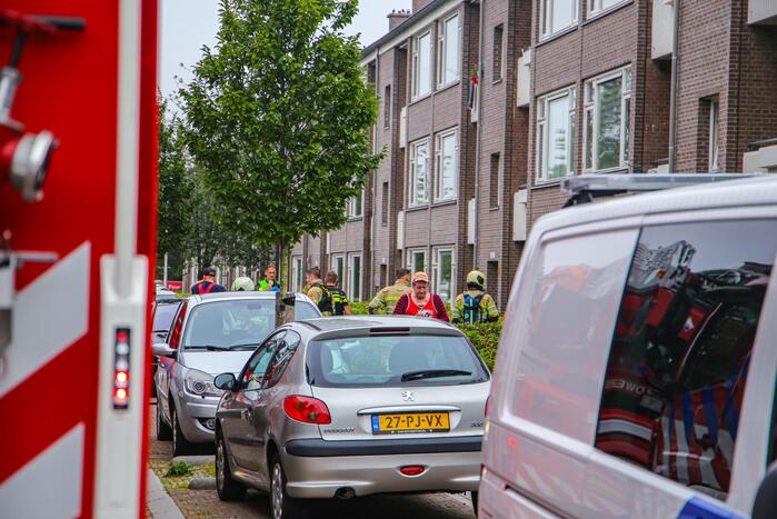 Huisdieren gered bij flinke brand in flatgebouw