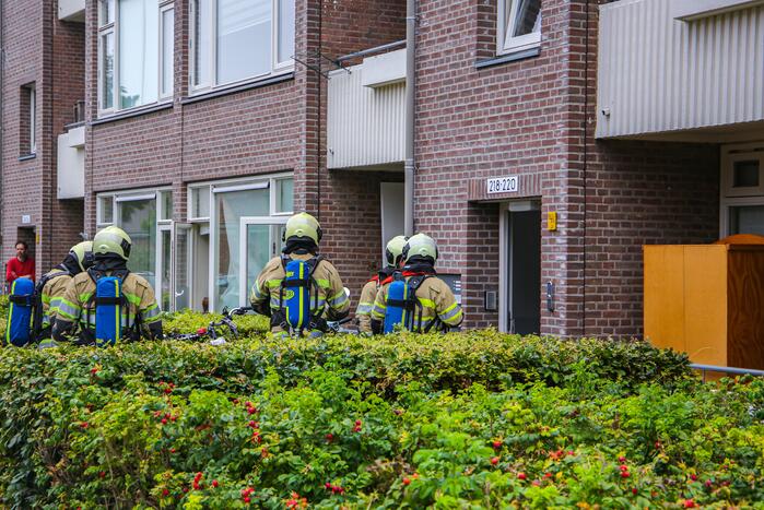 Huisdieren gered bij flinke brand in flatgebouw