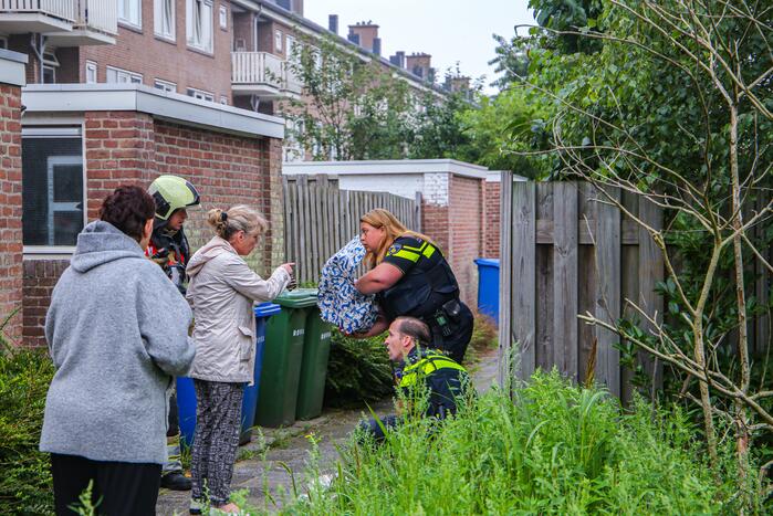 Huisdieren gered bij flinke brand in flatgebouw