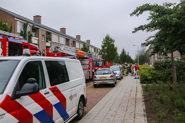 Huisdieren gered bij flinke brand in flatgebouw