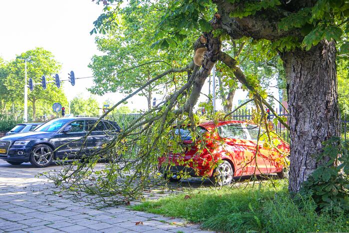 Grote tak breekt af en beschadigt personenwagen