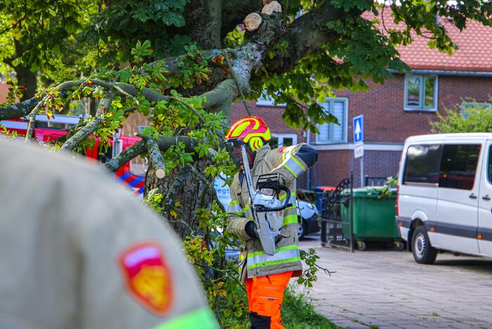 Grote tak breekt af en beschadigt personenwagen