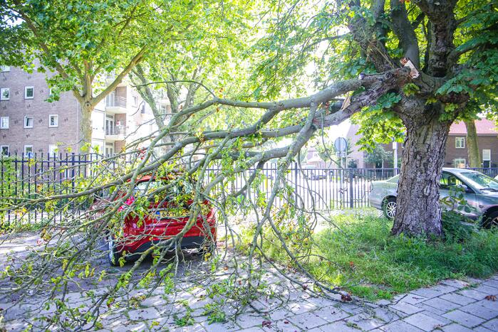 Grote tak breekt af en beschadigt personenwagen
