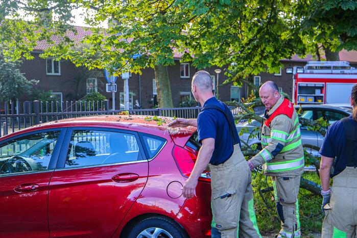Grote tak breekt af en beschadigt personenwagen