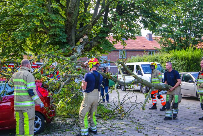 Grote tak breekt af en beschadigt personenwagen