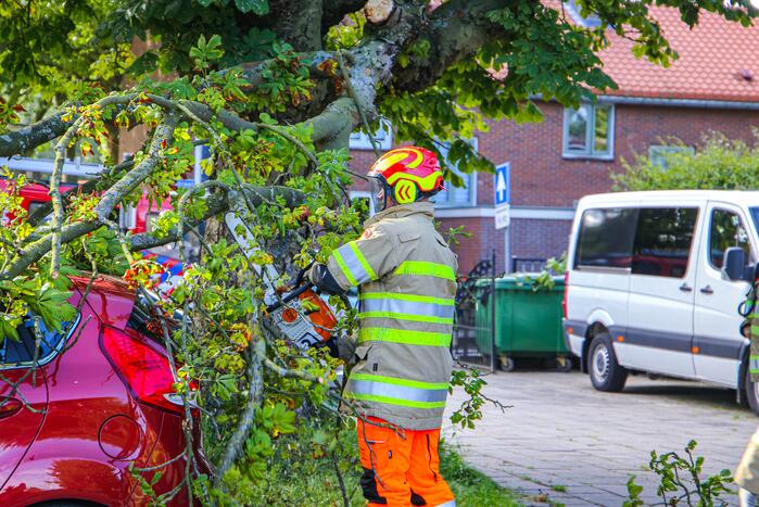 Grote tak breekt af en beschadigt personenwagen